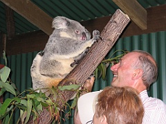 121 Port Douglas Wildlife Habitat